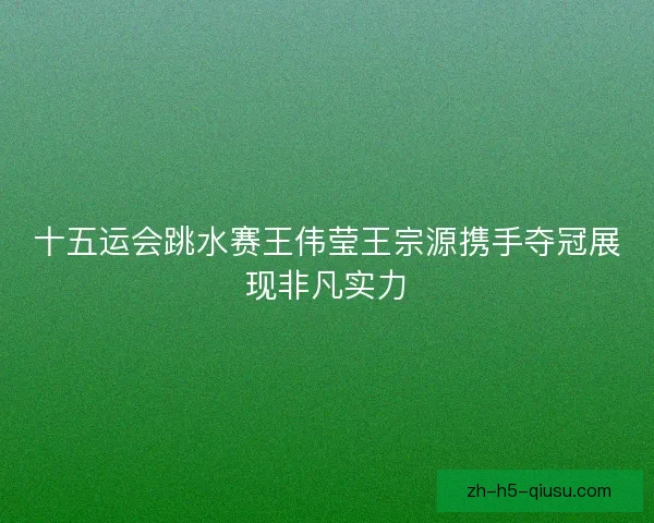 十五运会跳水赛王伟莹王宗源携手夺冠展现非凡实力